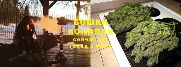 МДПВ Нея