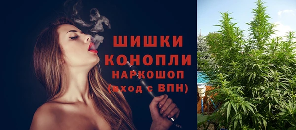 МДПВ Нея