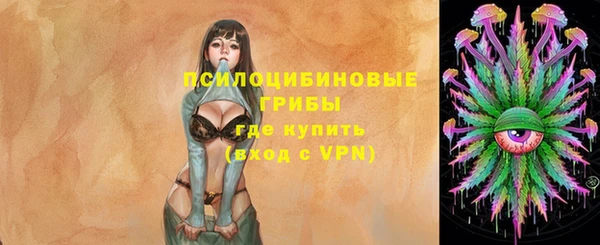 МДПВ Нея