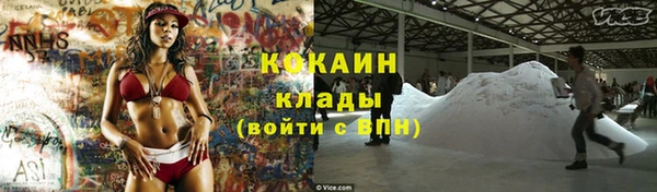 МДПВ Нея