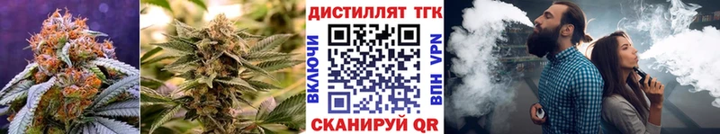 ТГК концентрат Новая Ляля