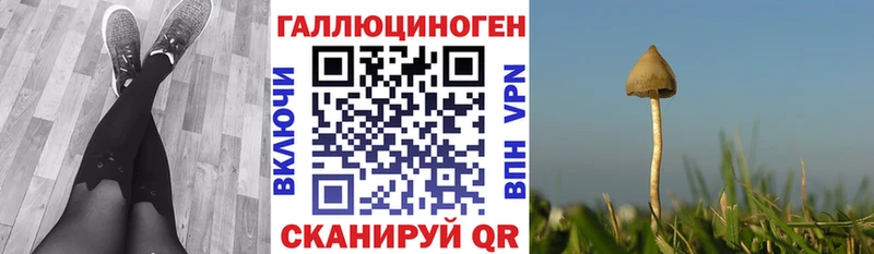Псилоцибиновые грибы MAGIC MUSHROOMS  Новая Ляля 
